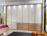 High Glossy Lacquer and Timber Veneer Finish Wardrobe (BY-W-18)