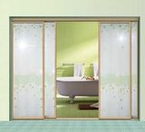 Wardrobe Sliding / Bathroom Door