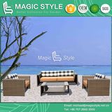 Viro Wicker Sofa Set Garden Wicker Furniture Patio High Quality Sofa Rattan 3-Seat Sofa