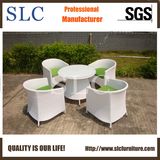 Garden Furniture Wholesalers (SC-B8217)