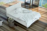 Modern Style Simple Upholstery Ystad Bed