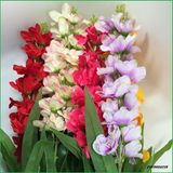 Silk Artificial Flowers Delphinium Fake Flowers for Home Decoration Wholesalers