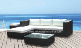 Popular Selling Sectional Rattan Sofa (BG-011A)
