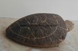 Popular Gift Natural Stone Animal Sculpture