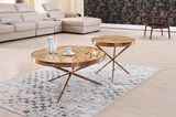 Modern Titanium+Marble Coffee Table