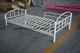 Metal Toddler Bed/ Nice Kids Bed