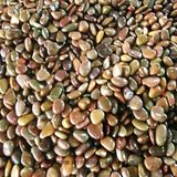 High Quality Red Stone Pebble