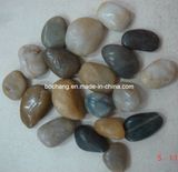 Natural Pebble Mosaic Stone for Garden Deroration