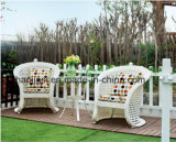 Outdoor /Rattan / Garden / Patio / Hotel Furniture Rattan Chair &Table Set (HS1210C&6060DT)