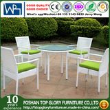 Patio Garden Aluminum PE Outdoor Rattan Dining Chair Set (TG-1652)