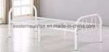 Simple Dormitory Metal Bed