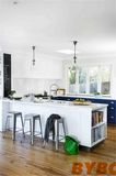 Classical Elegant Wood Lacquer Customized Kitchen Cabinet (BY-L-91)