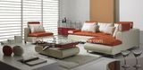 Modern Furniture Top Leather Sofa (B-205)
