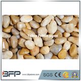 China Natural Yellow Pebble Stone with Higly Polished