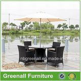 Wicker Garden Furniture/Patio Dining Sets/Outdoor Patio Set