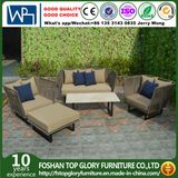 Belt Woven & Aluminum Furniture, Outdoor Garden Sofa (TG-6004)