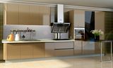 New Acrylic Kitchen Cabinets Design (zv-014)