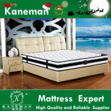 High Quality Low Price Firm Spring Mattress