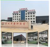 Polycarbonate Greenhouse for Vegetable/Flower/Garden