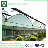 Venlo Type PC Sheet Greenhouse with Good Quality Low Price
