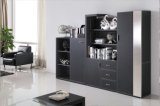 New Design High Qualitystorage Cabinet Bookcase (C3+G10)