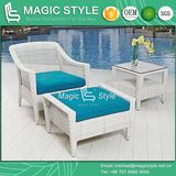 Rattan Coffee Sofa P. E Wicker Sofa Cafe Sofa with Footstool Hotel Project