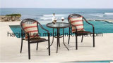 Outdoor /Rattan / Garden / Patio/ Hotel Furniture Rattan Chair & Table Set (HS 1001C-2& HS6060ET)