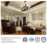 Salable Hotel Furniture with Living Room Furniture Set (YB-C-2)