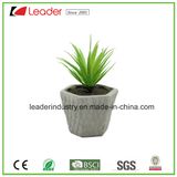 Mini Artificial Succulent Indoor Fake Green Potted Plant with Cement Pot for Home & Office Decoration