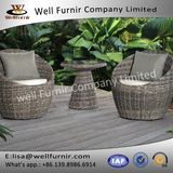 Well Furnir Wicker 3 Piece Deep Seating Group with Cushion WF-17004