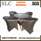 Rattan Garden Furniture / 5 Piece Table and Chairs (SC-B6519)