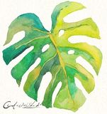 Hot Sale Modern Home Decoration Green Leave Oil Painting