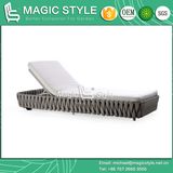 Modern Sunlounger Bandage Daybed Outdoor Sunlounger New Design