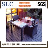 Outdoor Dining Set (SC-B1078-1 & SC-B1078-6)
