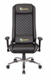 Computer Gaming Chair Ergonomic Computer Chair, Fs-RC038