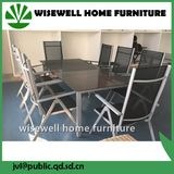 Aluminum Outdoor Patio Dining Furniture with 8 Seat (WXH-001)