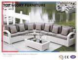 Modern Outdoor Patio Fabric Sofa Set (TG-042)