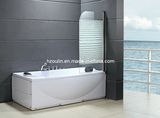 Simple Shower Room Elclosure Door Screen (SD-400)