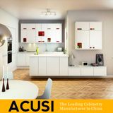 Wholesale Modern Linear Style Lacquer Kitchen Cabinets Kitchen Furniture Home Furniture (ACS2-L92)
