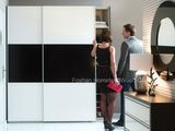 Fashion Sliding Wardrobe with 2 Shutter Doors (HF-EY080306)