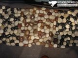 Natural Yellow Polished Pebble Stone on Mesh