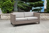 Modern Wicker/Rattan Sofa for Outdoor Furniture (LN-2002)