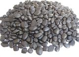 Stone Pebble Polished for Flooring Garden