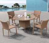 Garden Patio Home Hotel Office Rattan Carlos Leisure Dining Table (J374)