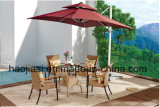Outdoor /Rattan / Garden / Patio / Hotel Furniture Rattan Chair & Table Set (HS1004C&HS 6080CDT)