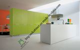 Style High Gloss/Matte Modular Lacquer Kitchen Cabinet (zs-447)