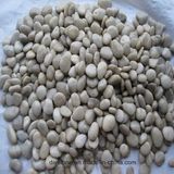 High Quality White River Pebbles