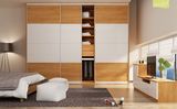 Wardrobe with Sliding Door for Bedroom Furniture (V1-WS002)