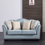 Two Seat Sofa with Fabric Upholstered for Living Room Furniture