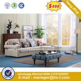 Modern Sofa Furniture, Wooden Genuine Leather Sofa (HX-SN8052)